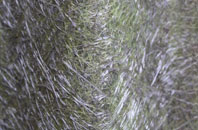 Nettleton Green fibreglass roof work